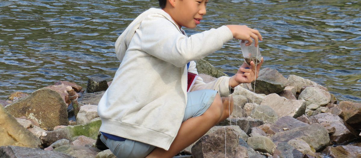 Catching fish in Wast Water